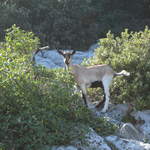 aIMG_0142.JPG
