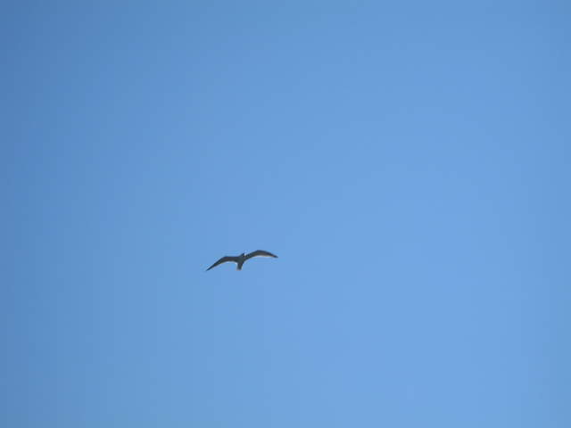 aIMG_0144.JPG