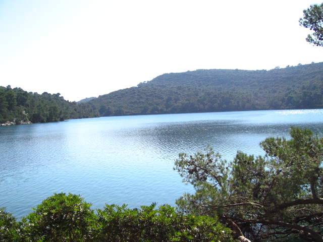 aIMG_0147.JPG