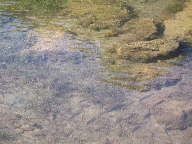 aIMG_0148.JPG