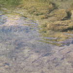 aIMG_0148.JPG