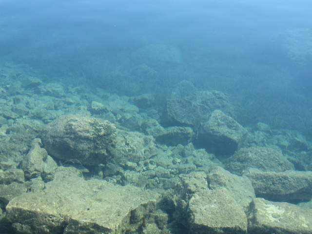 aIMG_0156.JPG