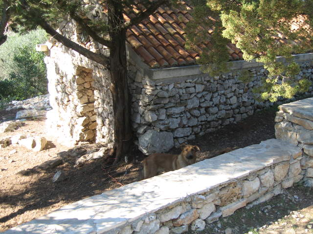 aIMG_0163.JPG