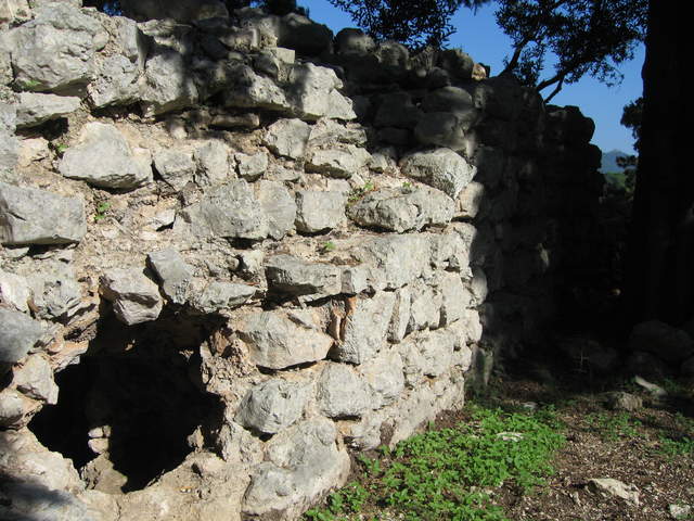 aIMG_0165.JPG
