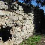 aIMG_0165.JPG