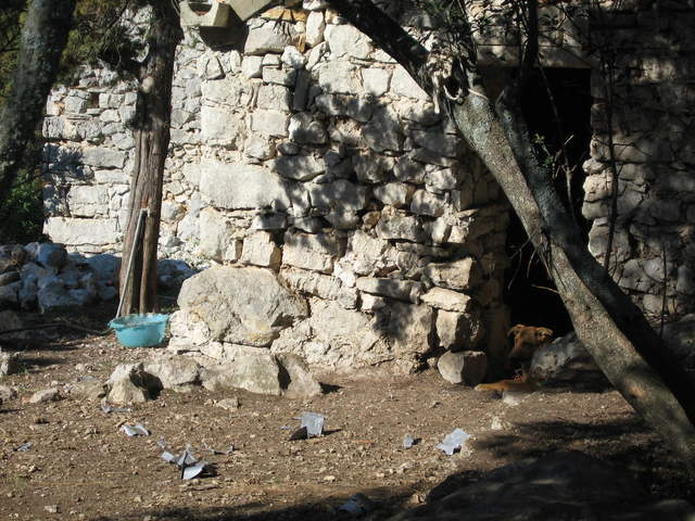 aIMG_0168.JPG