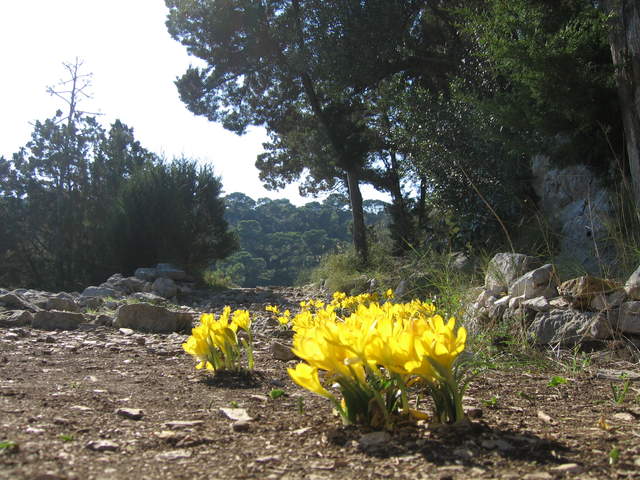 aIMG_0171.JPG