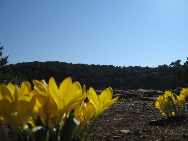 aIMG_0173.JPG