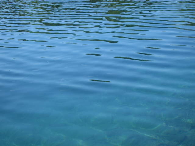 aIMG_0180.JPG