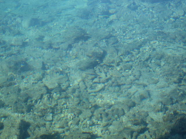 aIMG_0183.JPG