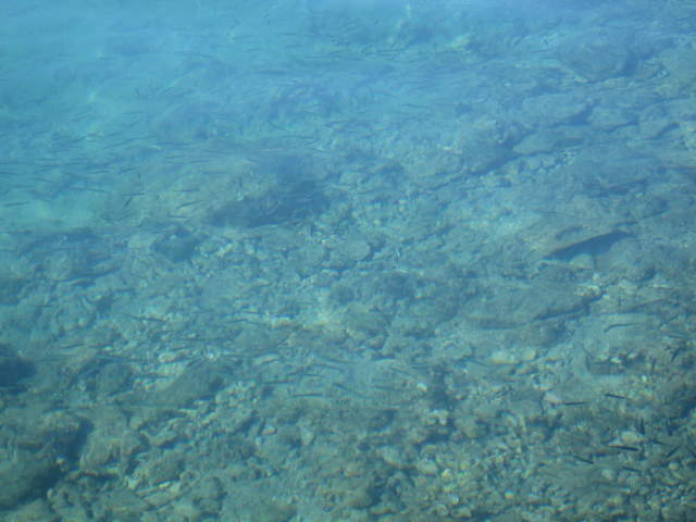 aIMG_0184.JPG