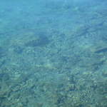 aIMG_0184.JPG