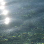 aIMG_0186.JPG
