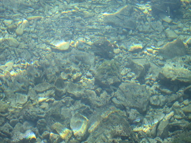 aIMG_0187.JPG
