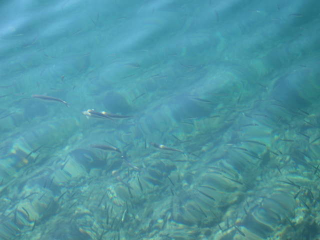aIMG_0188.JPG