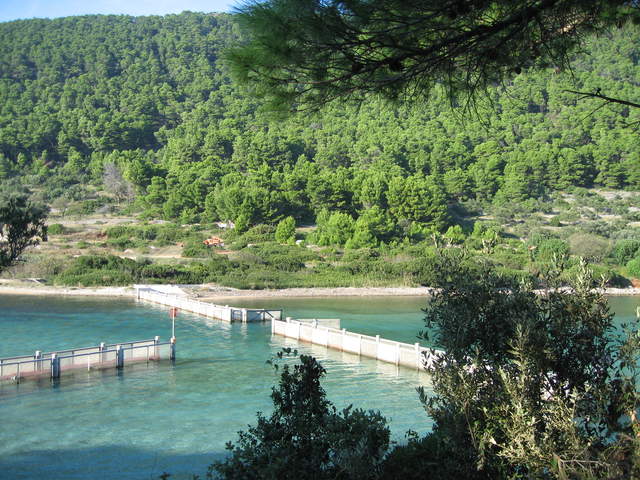 aIMG_0192.JPG