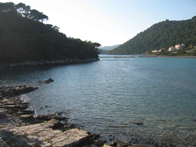 aIMG_0194.JPG