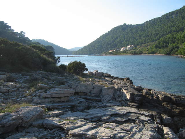 aIMG_0196.JPG