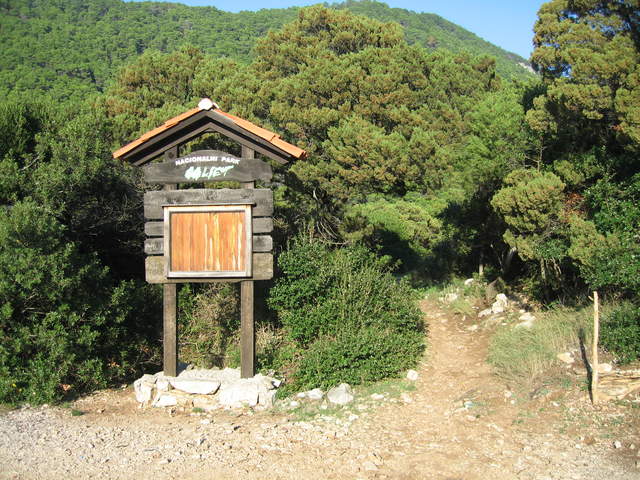 aIMG_0208.JPG