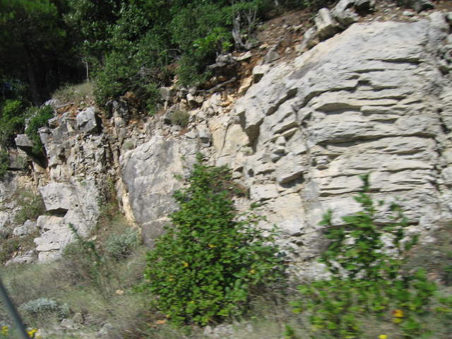 aIMG_0087.JPG