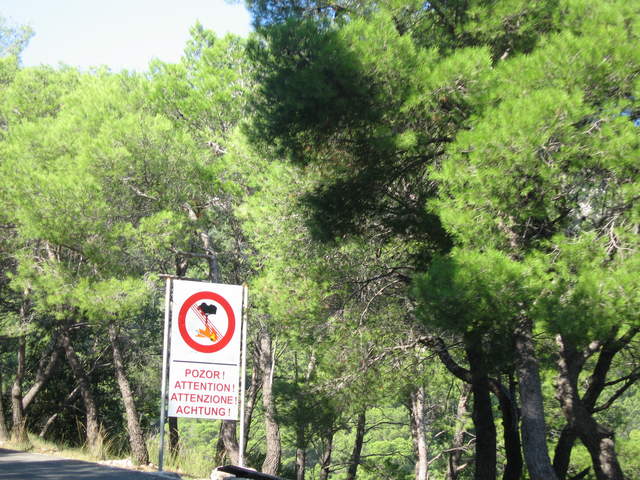 aIMG_0100.JPG