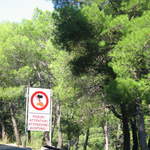 aIMG_0100.JPG