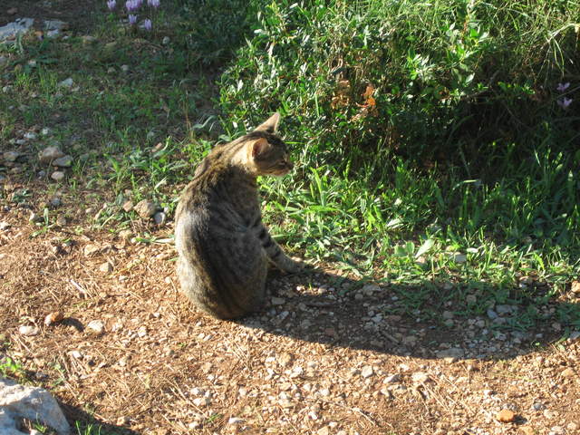 aIMG_0107.JPG