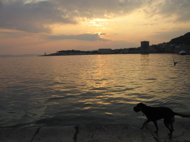 aIMG_0316.JPG