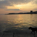 aIMG_0316.JPG