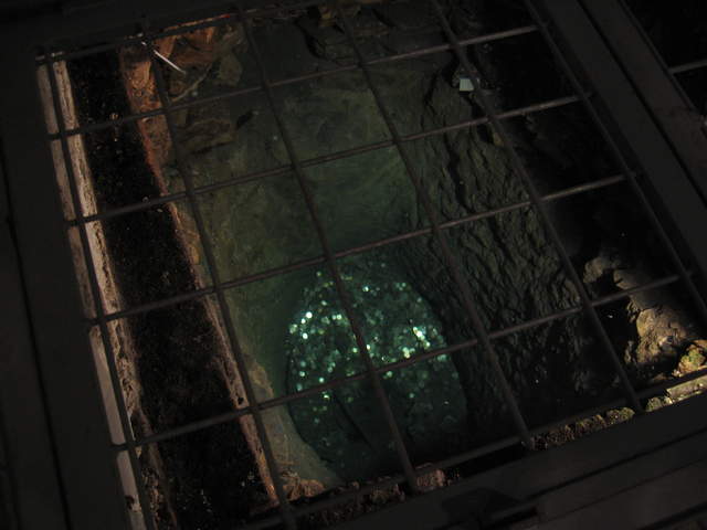aIMG_0261.JPG
