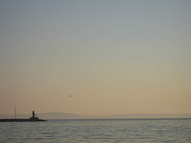 aIMG_0271.JPG