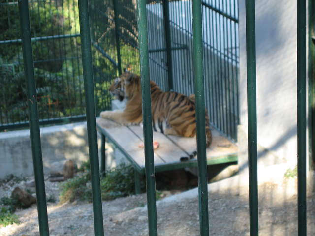 aIMG_0282.JPG