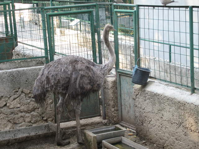 aIMG_0283.JPG
