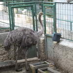 aIMG_0283.JPG