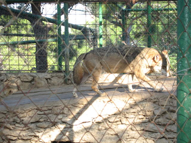 aIMG_0284.JPG