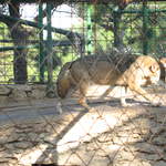 aIMG_0284.JPG