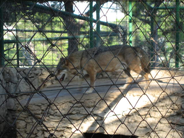 aIMG_0285.JPG