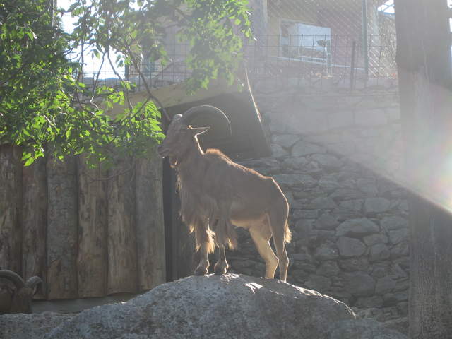 aIMG_0286.JPG