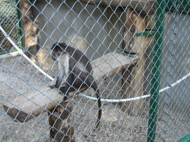 aIMG_0287.JPG