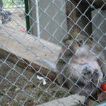 aIMG_0288.JPG