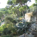 aIMG_0291.JPG