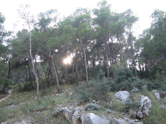 aIMG_0297.JPG