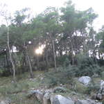 aIMG_0297.JPG