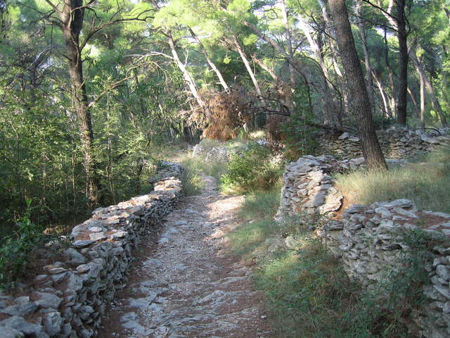 aIMG_0298.JPG