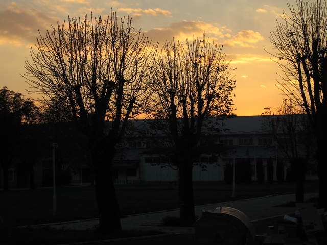 IMG_0038.JPG