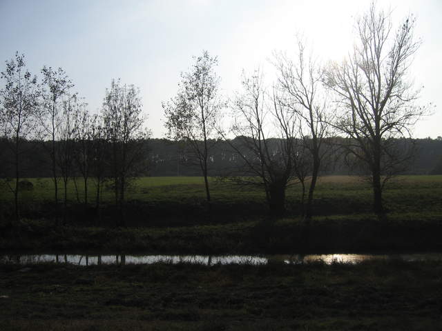 IMG_0067.JPG