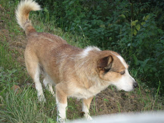 IMG_0075.JPG