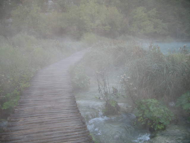 IMG_0091.JPG