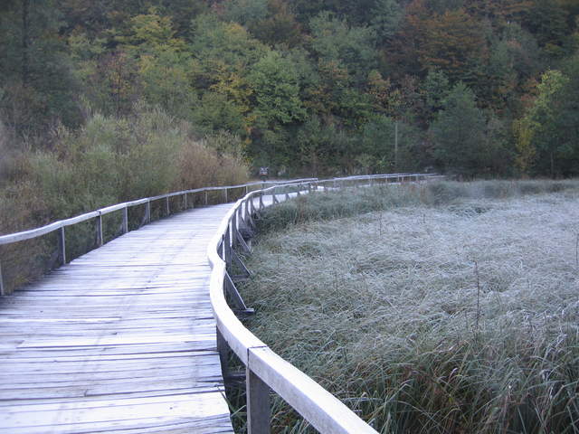 IMG_0106.JPG