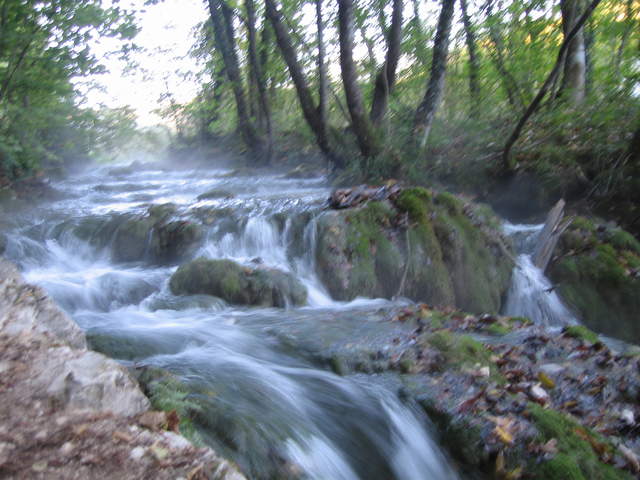 IMG_0109.JPG